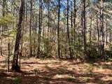 Lot 6 Big Lake Road - Photo 3