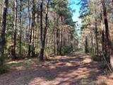 Lot 6 Big Lake Road - Photo 4