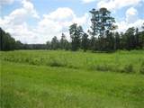  Hwy 442/I-55 Highway - Photo 2