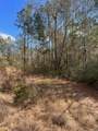  Dr Tj Smith Expressway Road - Photo 10