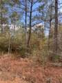  Dr Tj Smith Expressway Road - Photo 11