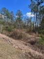  Dr Tj Smith Expressway Road - Photo 12