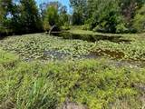 141 Buford Lashley Road - Photo 5
