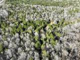 +/-93.73 Acres Brown Road - Photo 16