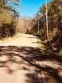 29227 Pacquet Road - Photo 4