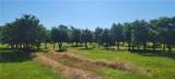 155 Fulton Street - Photo 1