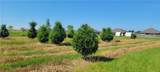 155 Fulton Street - Photo 10