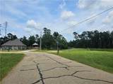 31618 Ferina Lane - Photo 6
