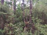 29322 Paquet Road - Photo 4