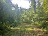 Tract A Big Lake Road - Photo 3