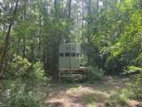 Tract A Big Lake Road - Photo 5