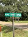 47052 Vineyard Trace - Photo 2