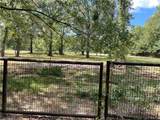  Talmadge Crumholt Road - Photo 1