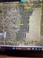 40 Acres Durbin Road - Photo 2