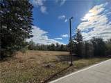 Tract 1 & 2 North Oaks Drive - Photo 6