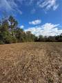 Tract 1 & 2 North Oaks Drive - Photo 8