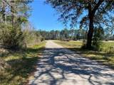 38065 Fricke Road - Photo 9