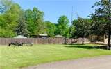 31765 River Pines Drive - Photo 3
