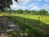 35218 Sunny Hill Road - Photo 18