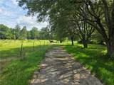 35218 Sunny Hill Road - Photo 7
