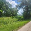 Calmes Road - Photo 2