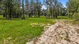 39502 Lee's Landing Road - Photo 1