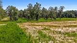 39502 Lee's Landing Road - Photo 3