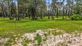 39502 Lee's Landing Road - Photo 4