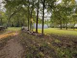 1099 Hwy 457 Highway - Photo 5