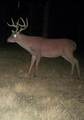  I-49 Highway - Photo 21