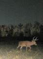 I-49 Highway - Photo 7