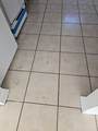 4632 Lynhuber Drive - Photo 6