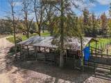16372 Elmo Bickham Road - Photo 19