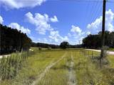 11.6 Acres Lee Road - Photo 5