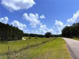 11.6 Acres Lee Road - Photo 7