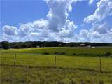 11.6 Acres Lee Road - Photo 9