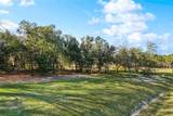 12741 Crossvine Drive - Photo 3