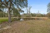 29417 Mary Kinchen Road - Photo 34