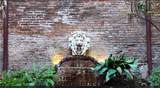 526 Madison Street - Photo 8