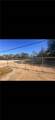 56292 Albert Street - Photo 2