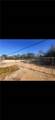 56292 Albert Street - Photo 3