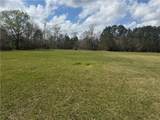 TBD Palmisano Drive - Photo 1