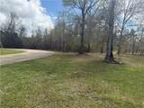 TBD Palmisano Drive - Photo 5