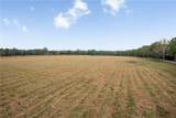 12294 Quaglino Road - Photo 2