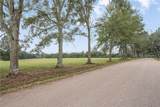 12294 Quaglino Road - Photo 4