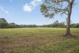 12294 Quaglino Road - Photo 6