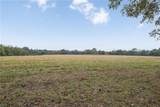 12294 Quaglino Road - Photo 7