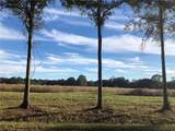 12294 Quaglino Road - Photo 9