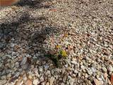 707 Copal Street - Photo 10