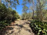 707 Copal Street - Photo 11